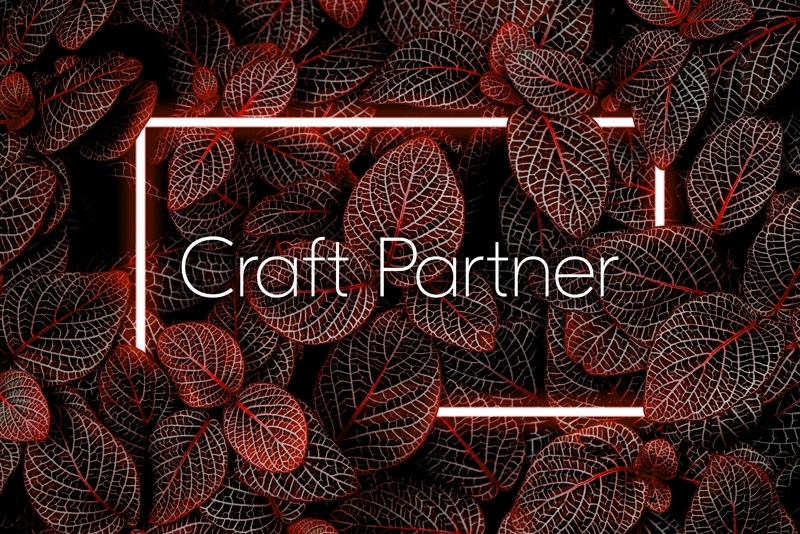 Trusted Craft CMS Partner developers