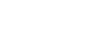 Shopify plus partner logo
